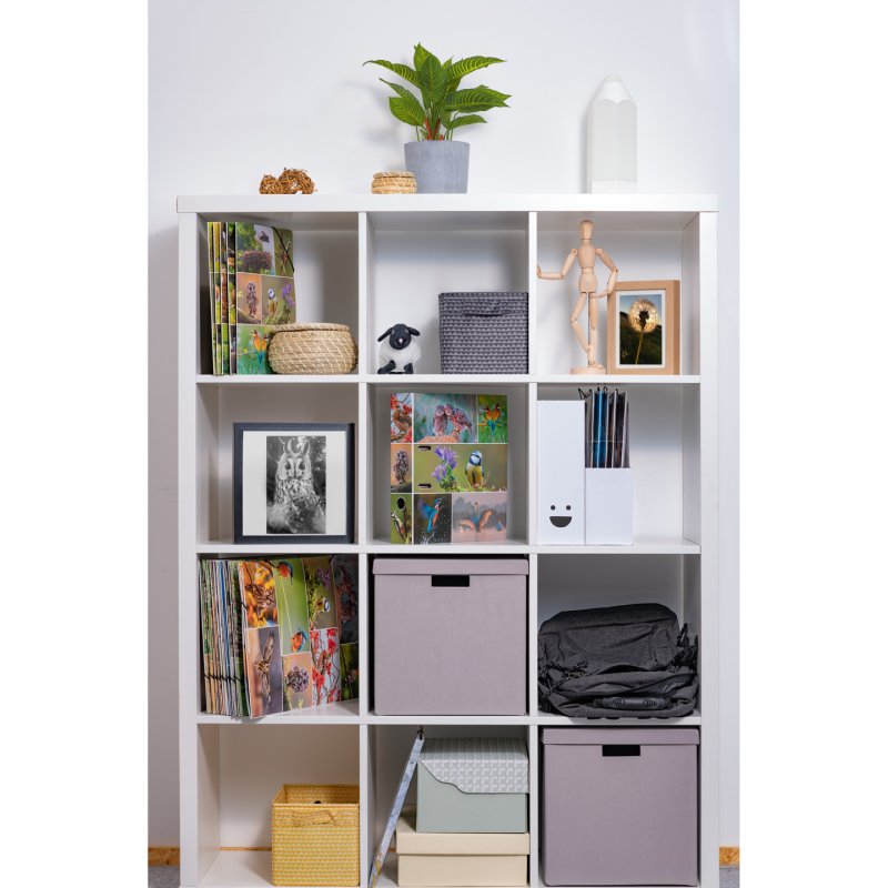 HERMA Classeur à levier "Monde animal", Oiseaux