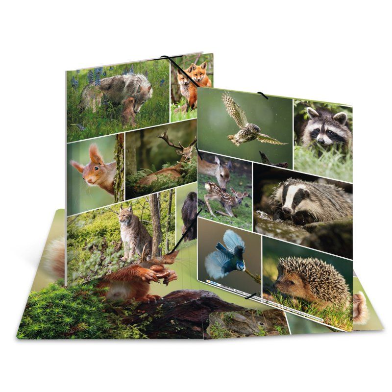 HERMA 19341 ring binder A4 Multicolour