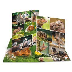 HERMA 19343 ring binder A4 Multicolour