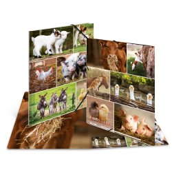 HERMA Chemise à élastiques "Animaux de ferme", carton, A4