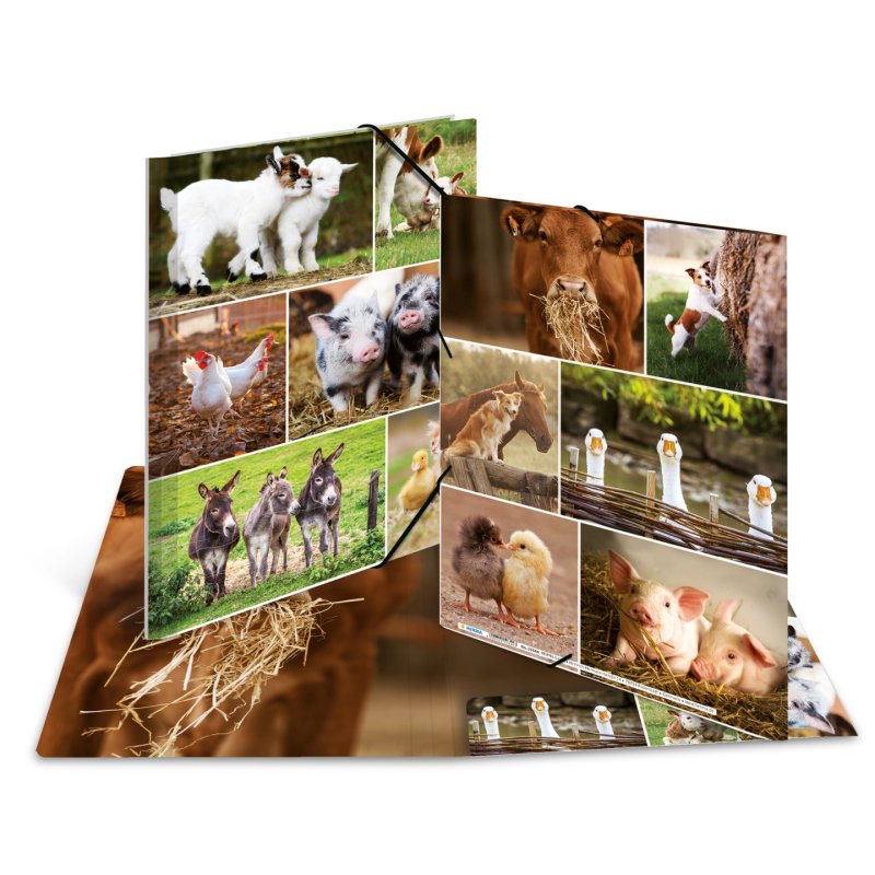 HERMA 19344 ring binder A4 Multicolour