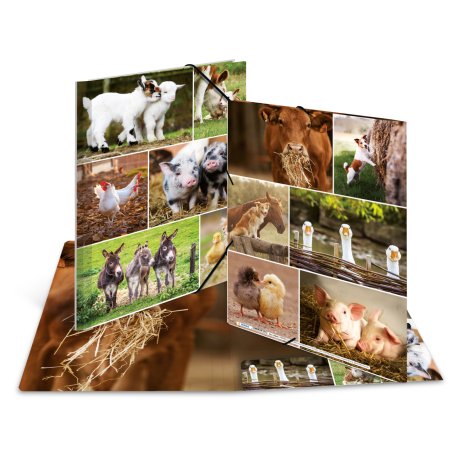 HERMA 19344 ring binder A4 Multicolour