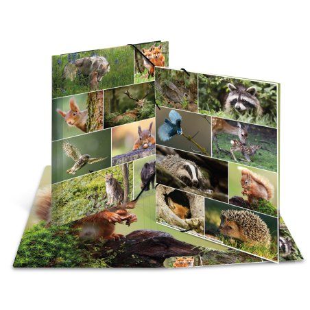 HERMA Sammelmappe A3 Waldtiere ring binder Multicolour