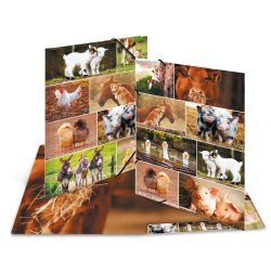 HERMA Sammelmappe A3 Bauernhoftiere classeur à anneaux Multicolore