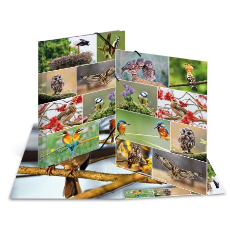 HERMA 19455 ring binder A3 Multicolour