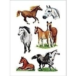 HERMA DECOR stickers horse races 3 sheets self-adhesive label