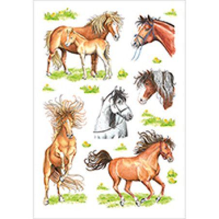 HERMA 3307 self-adhesive label 3 pc(s)