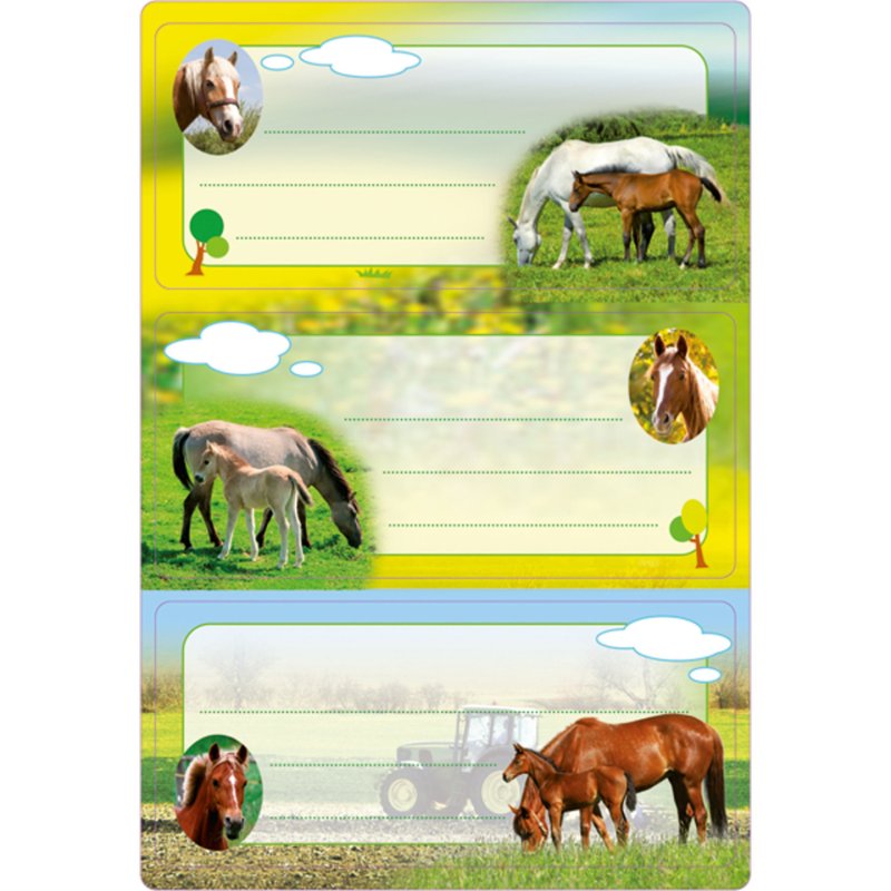 HERMA 5568 self-adhesive label Rectangle Permanent Multicolour 6 pc(s)