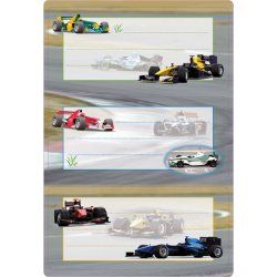 HERMA 5577 étiquette auto-collante Rectangle Permanent Multicolore 6 pièce(s)