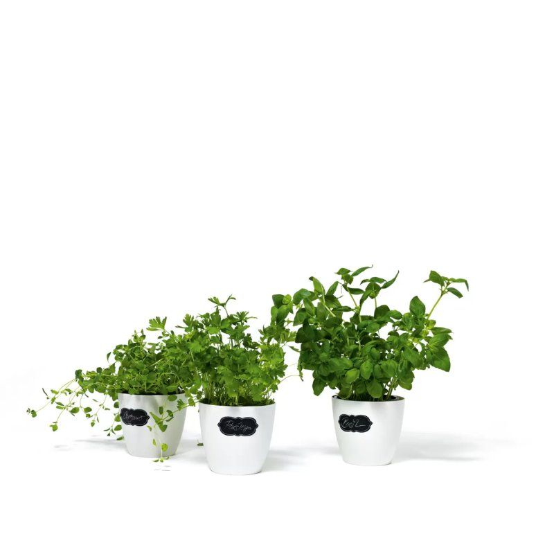 HERMA Etiquettes pour tableau HOME feeling "nuage"