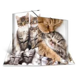 HERMA chemise élastique "chats", transparent, en PP, A4,