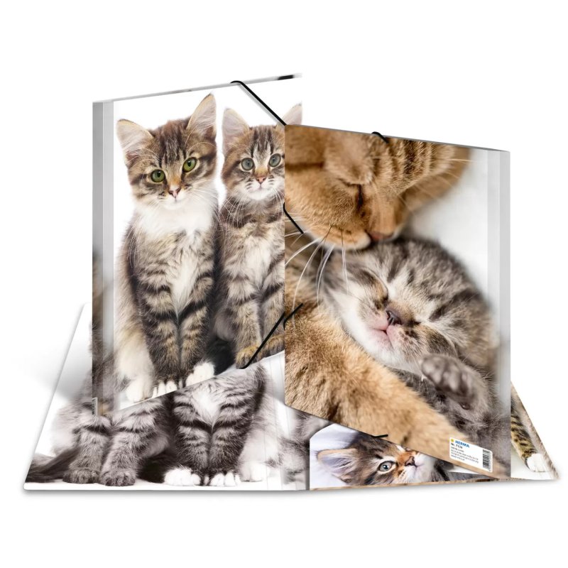 HERMA chemise élastique "chats", transparent, en PP, A4,