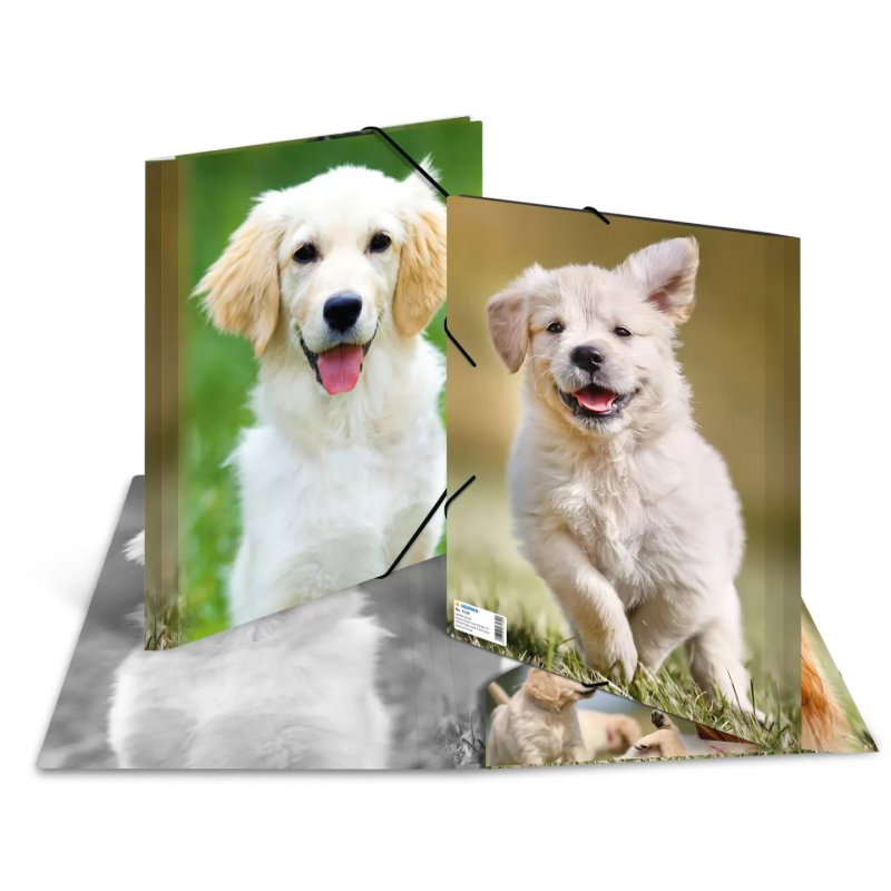 HERMA Chemise élastique "chiens", transparent, en PP, A4,