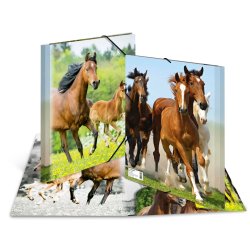 HERMA 7140 folder Polypropylene (PP) Multicolour A4