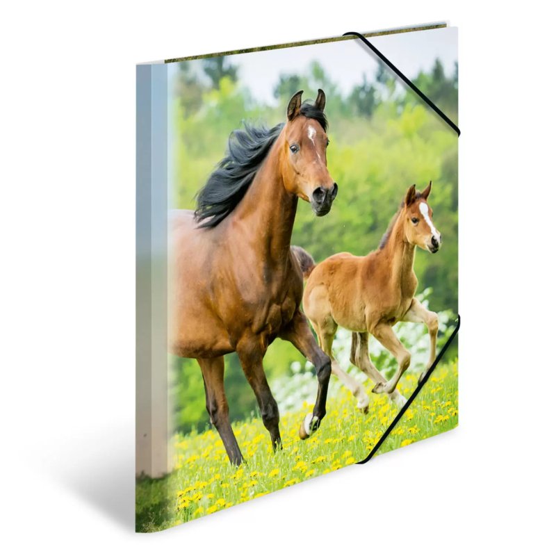 HERMA Chemise élastique "chevaux", transparent, en PP, A4