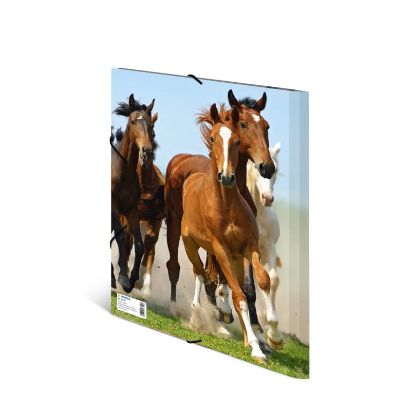 HERMA Chemise élastique "chevaux", transparent, en PP, A4