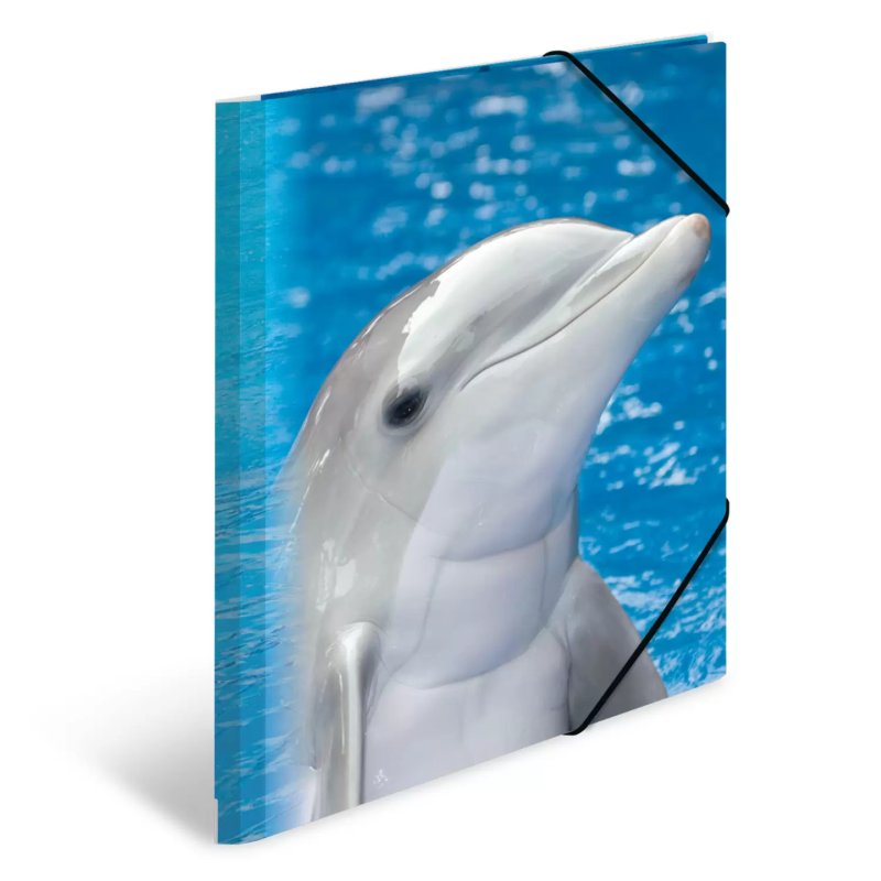 HERMA 7141 folder Polypropylene (PP) Multicolour A4