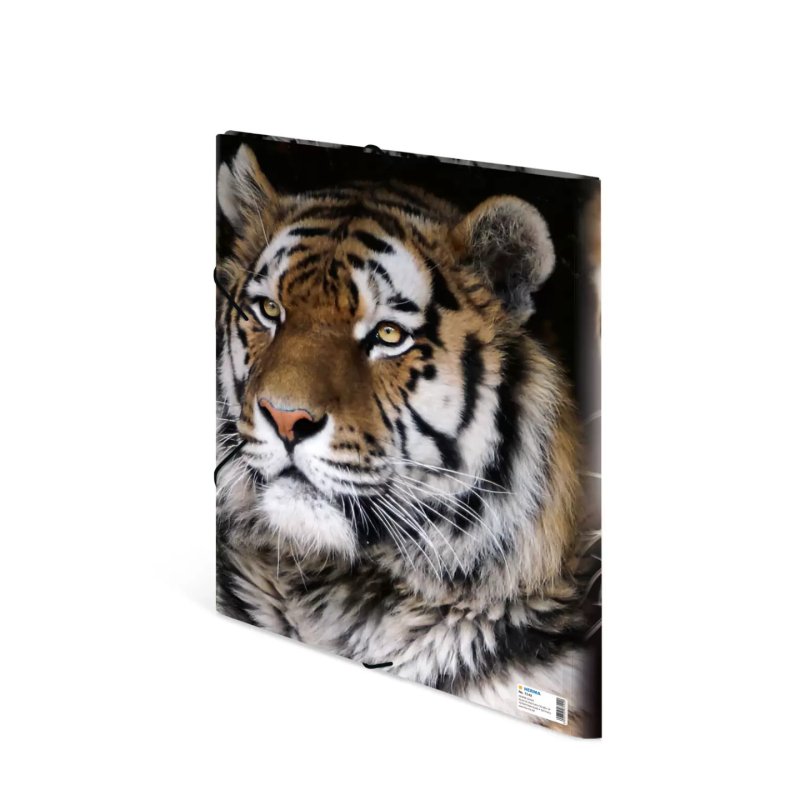 HERMA 7142 folder Polypropylene (PP) Multicolour A3