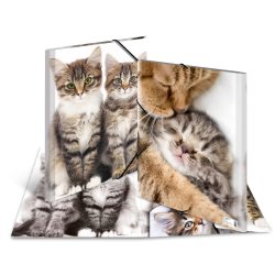 HERMA chemise élastique "chats", en PP, A3
