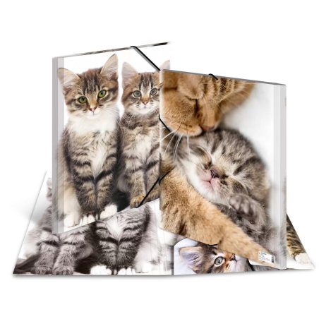 HERMA chemise élastique "chats", en PP, A3