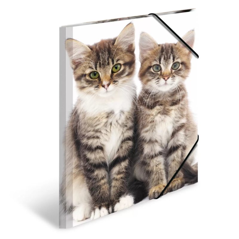 HERMA chemise élastique "chats", en PP, A3