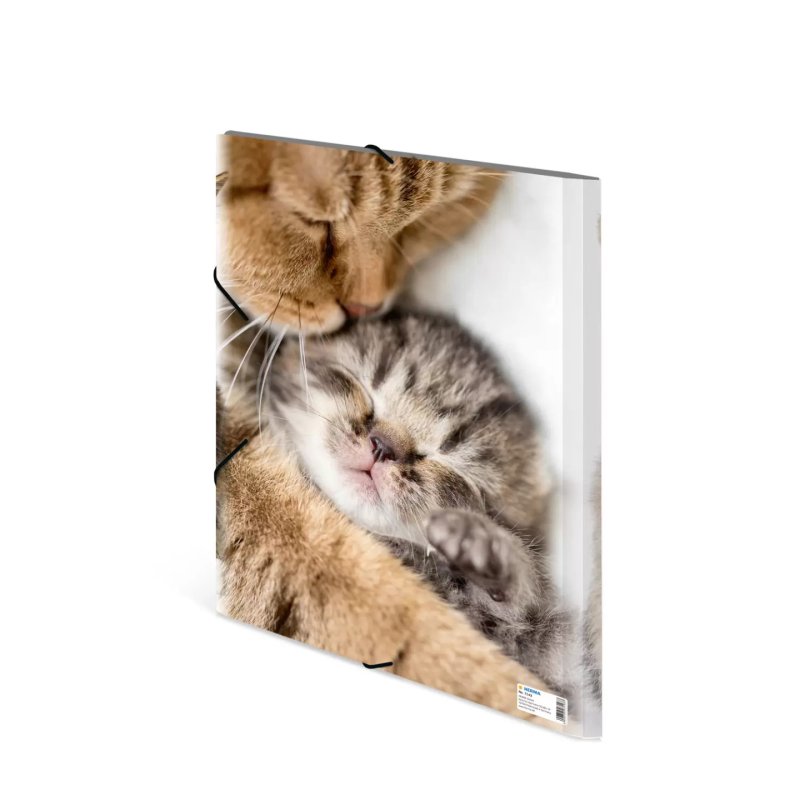 HERMA chemise élastique "chats", en PP, A3