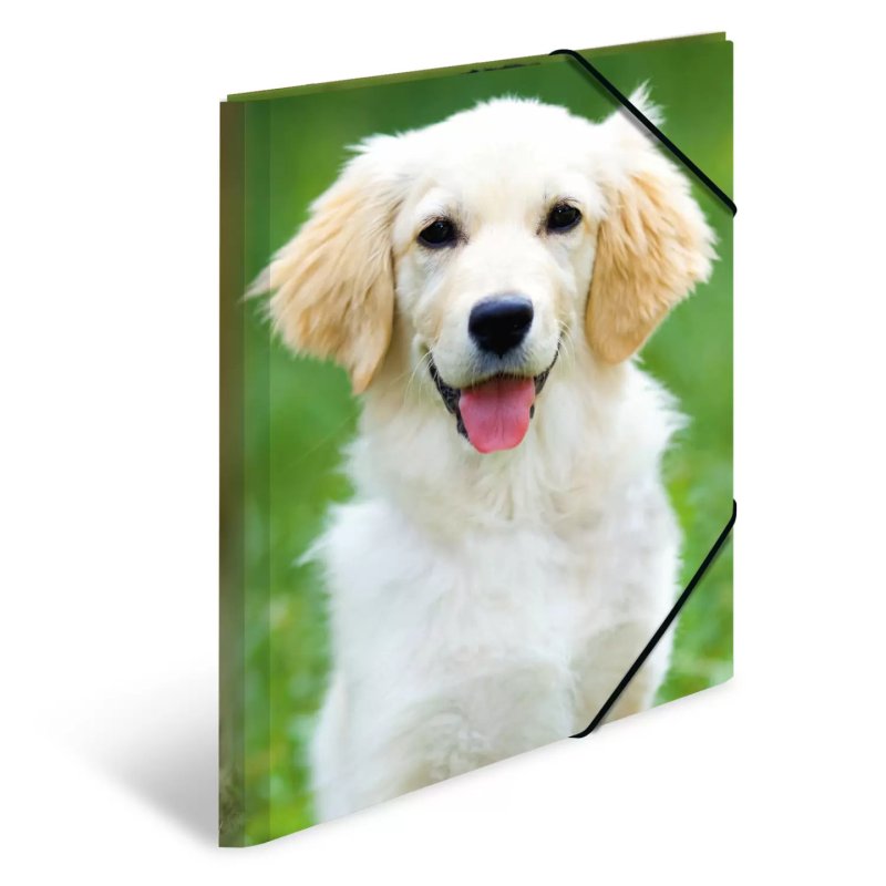 HERMA 7144 folder Polypropylene (PP) Multicolour A3