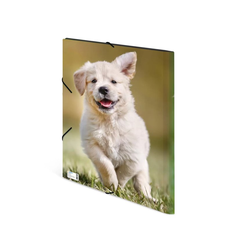 HERMA 7144 folder Polypropylene (PP) Multicolour A3