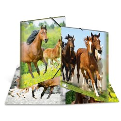 HERMA chemise élastique "chevaux", en PP, A3,