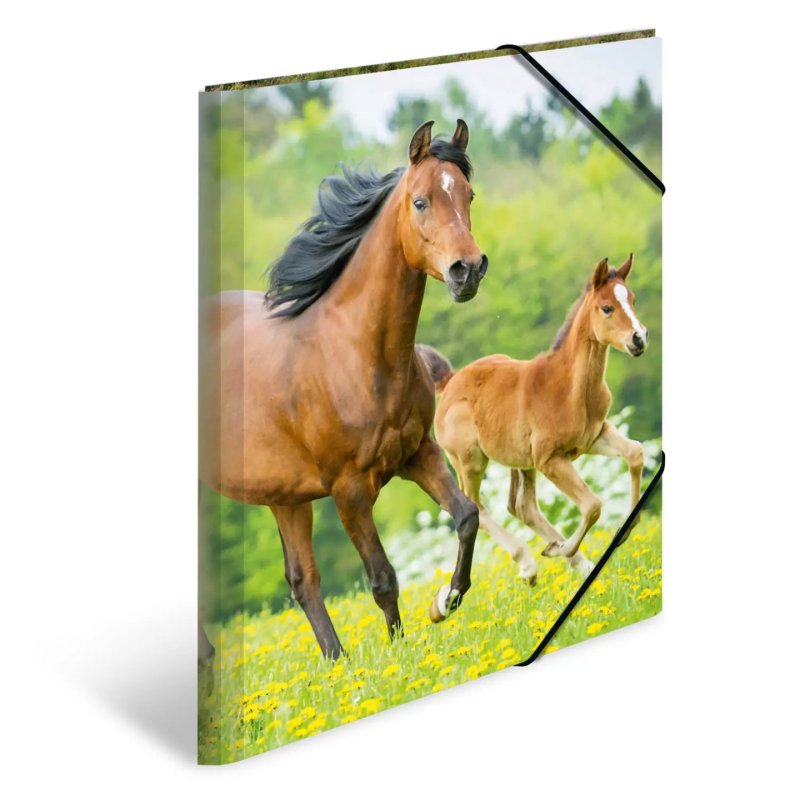 HERMA chemise élastique "chevaux", en PP, A3,