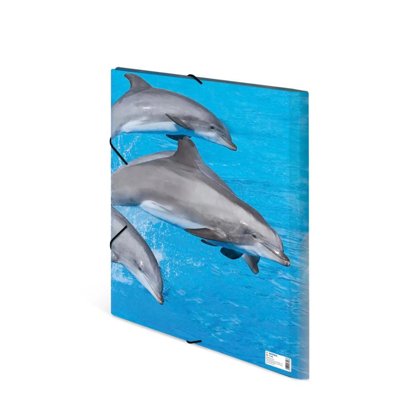 HERMA 7146 fichier Polypropylène (PP) Bleu, Gris A3