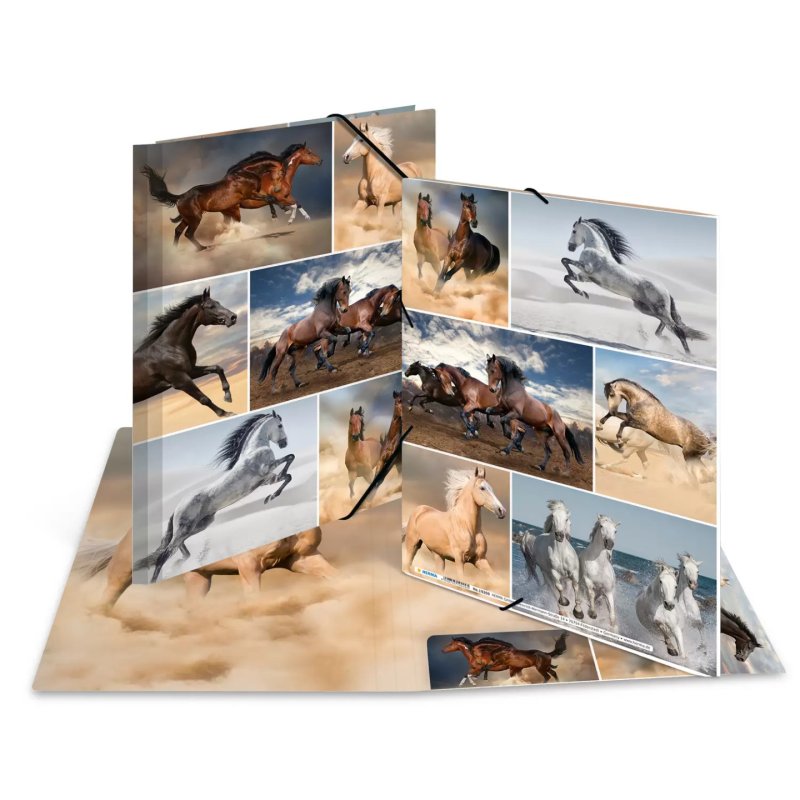 HERMA 19209 fichier Carton Multicolore A4