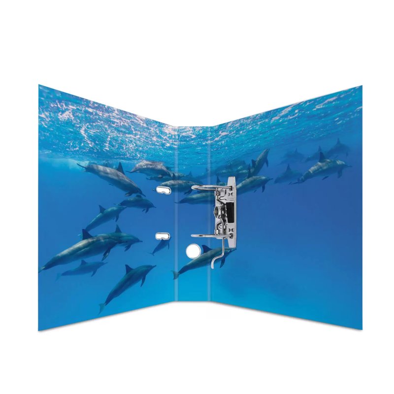 HERMA 7167 classeur à anneaux A4 Multicolore