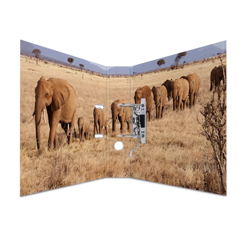 HERMA Classeur à levier "Animals", A4, animaux d'Afrique