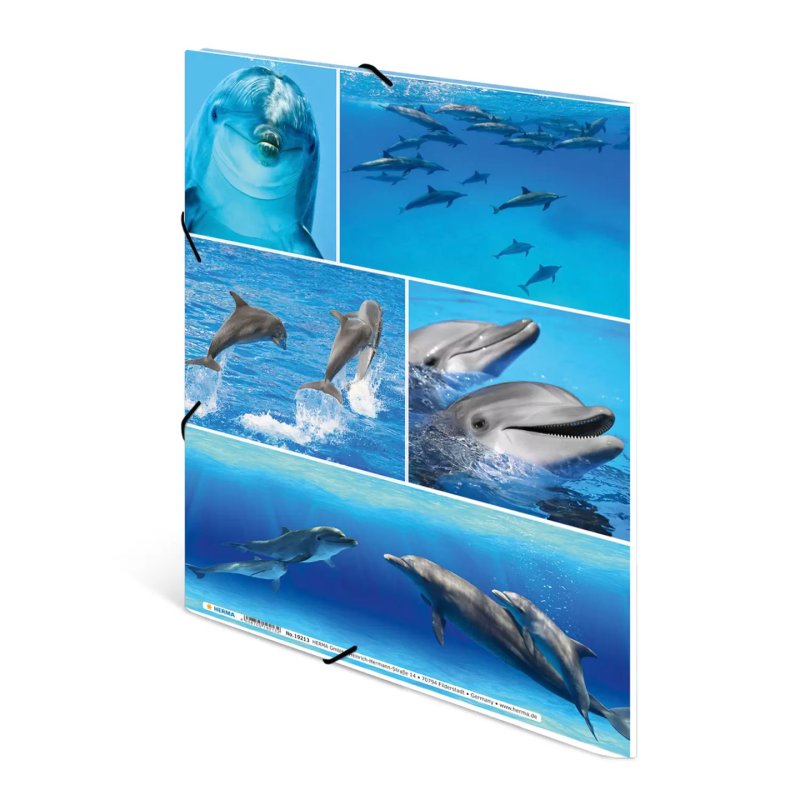HERMA 19213 folder Cardboard Multicolour A4