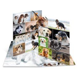 HERMA 19218 fichier Carton Multicolore A3