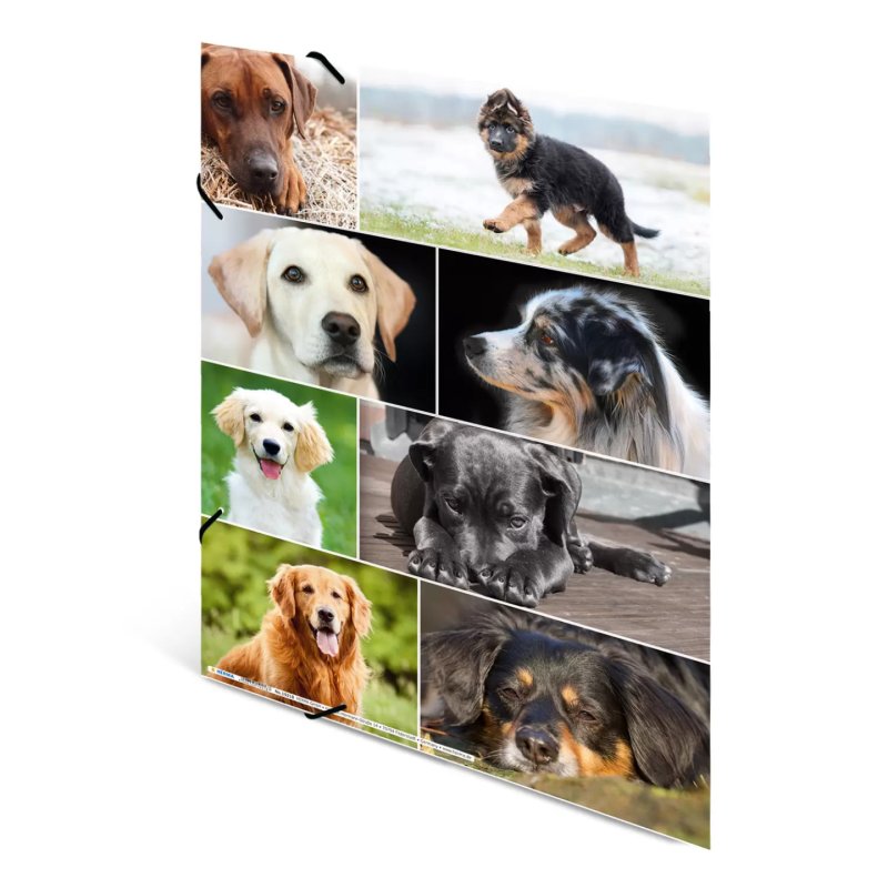HERMA 19218 folder Cardboard Multicolour A3