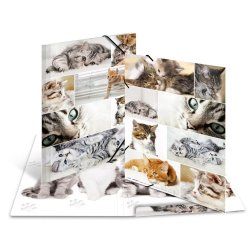 HERMA 19219 fichier Carton Multicolore A3