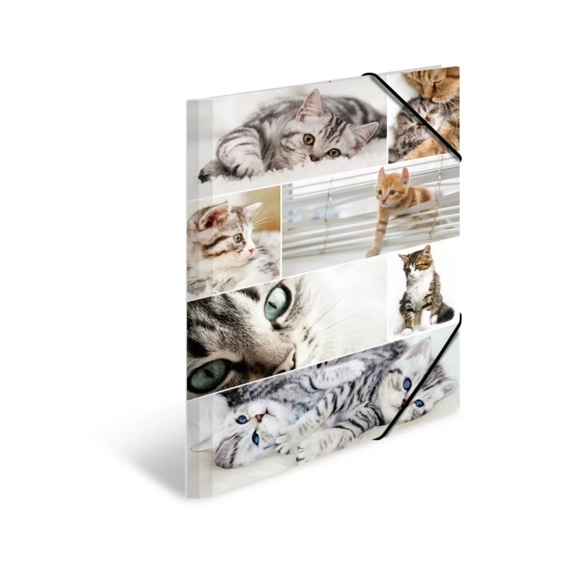 HERMA Chemise à élastiques "chats", carton, A3