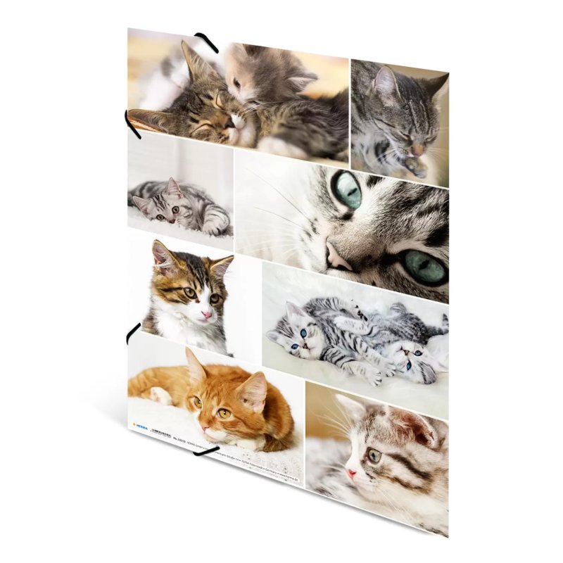 HERMA 19219 fichier Carton Multicolore A3