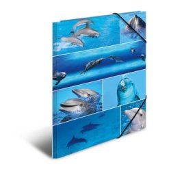 HERMA Chemise à élastiques "dauphins", carton, A3