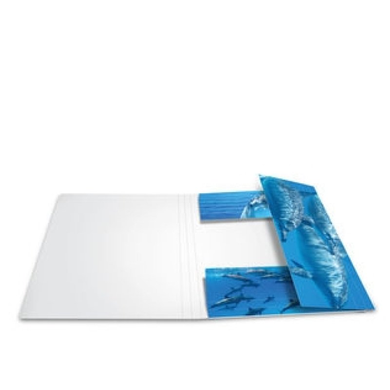 HERMA 19221 fichier Carton Multicolore A3