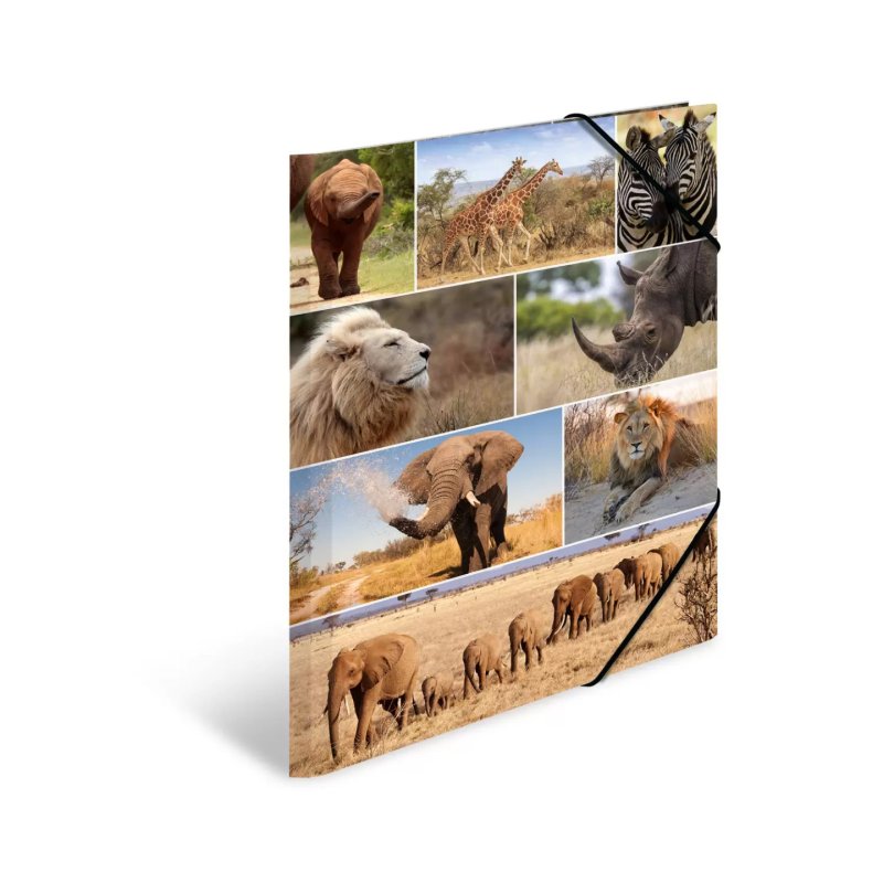 HERMA Chemise à élastiques "animaux d'Afrique", carton, A3