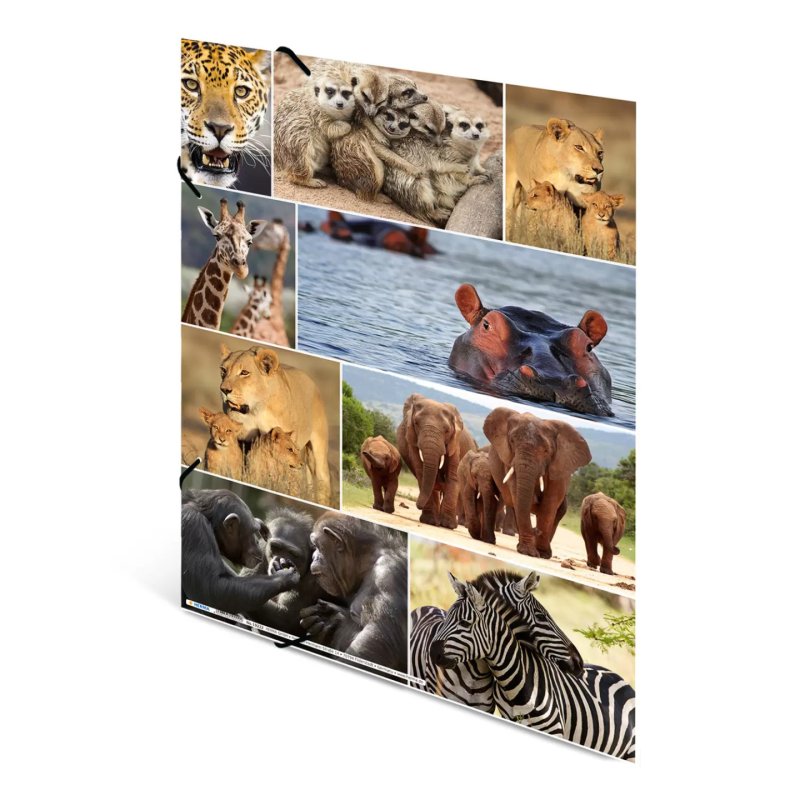 HERMA Chemise à élastiques "animaux d'Afrique", carton, A3