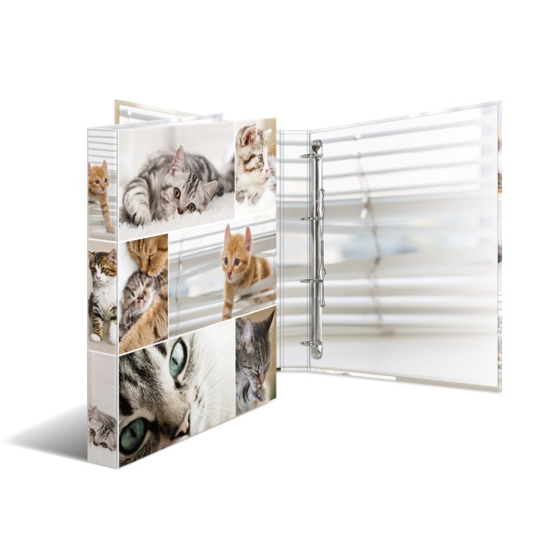 HERMA 19359 ring binder A4 Multicolour