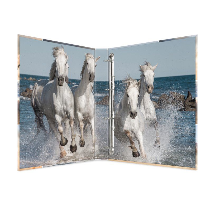 HERMA 19360 ring binder A4 Multicolour