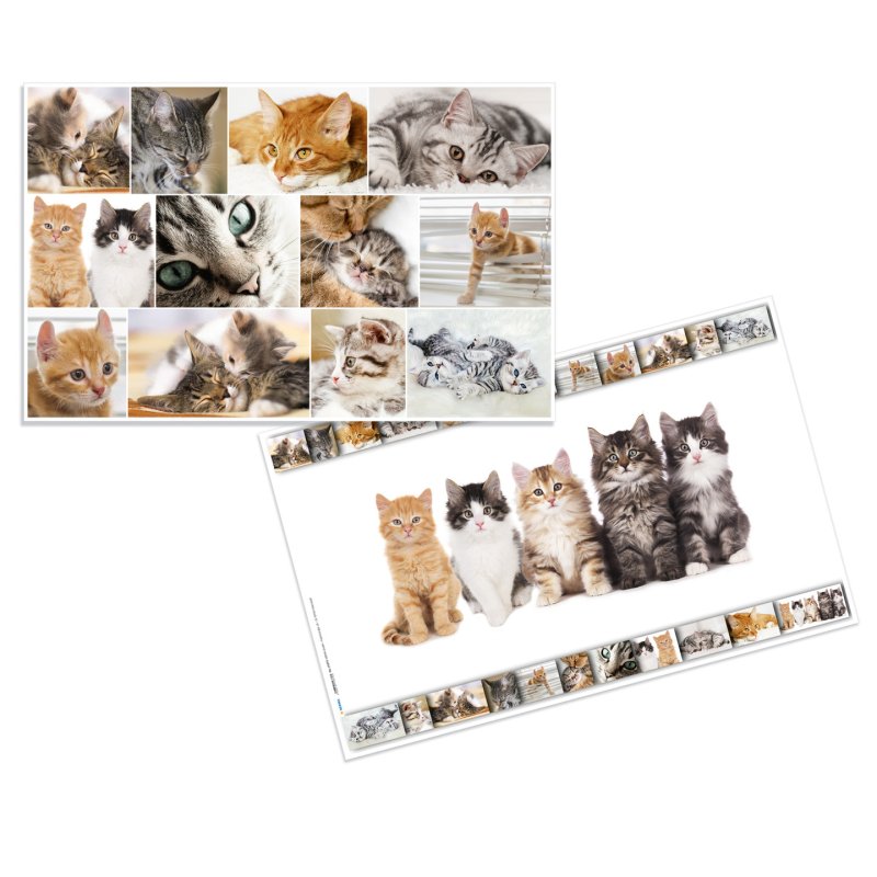 HERMA Sous-main "Chats", (L)550 x (H)350 mm