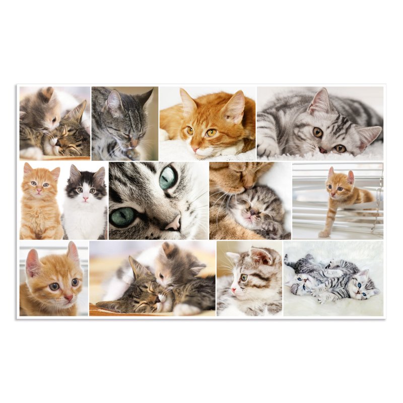 HERMA Sous-main "Chats", (L)550 x (H)350 mm