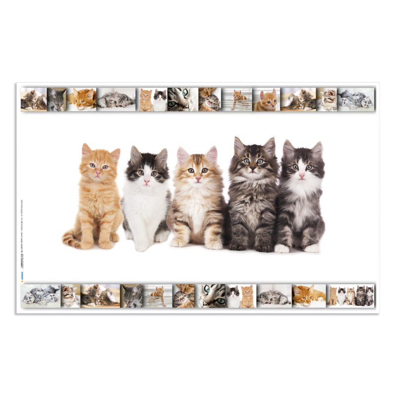 HERMA Sous-main "Chats", (L)550 x (H)350 mm