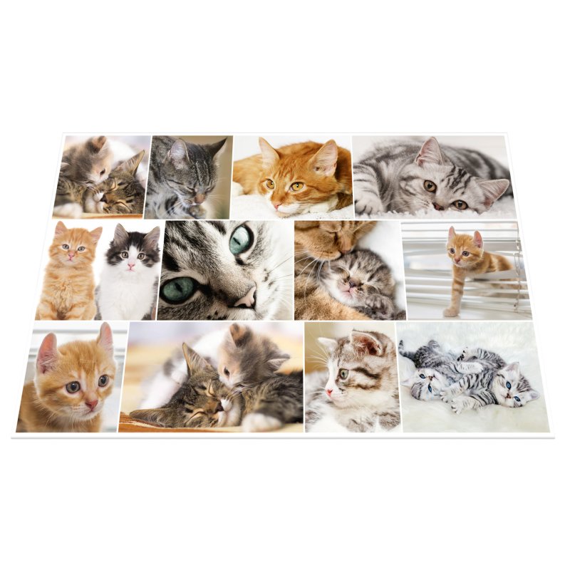 HERMA Sous-main "Chats", (L)550 x (H)350 mm